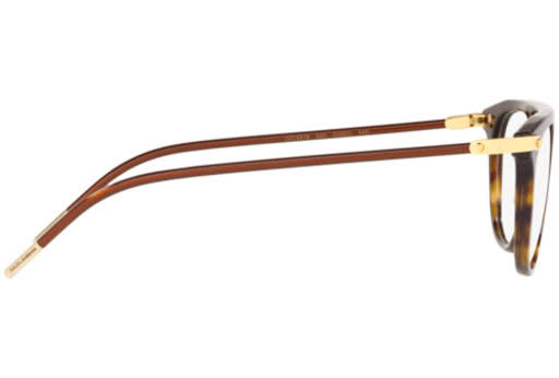 Havana Sunglasses S268