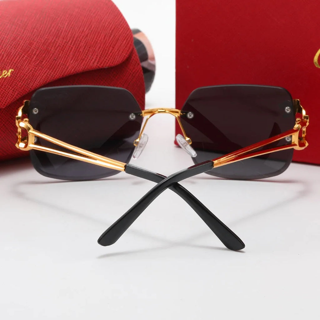 Leopard Frame Polarized Sunglasses H6228