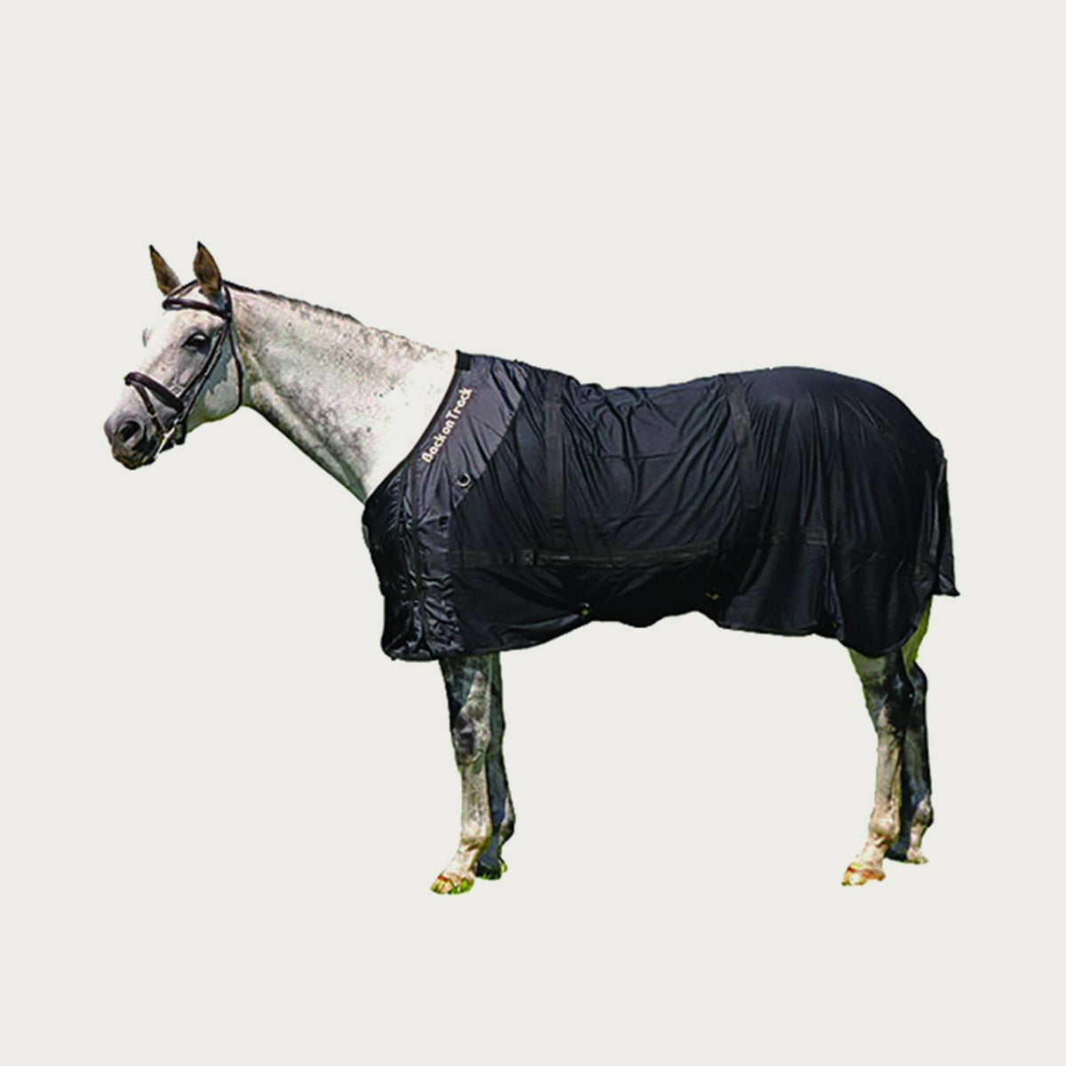 Therapeutic Mesh Horse Sheet O287