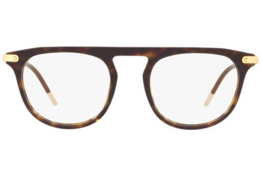 Havana Sunglasses S268