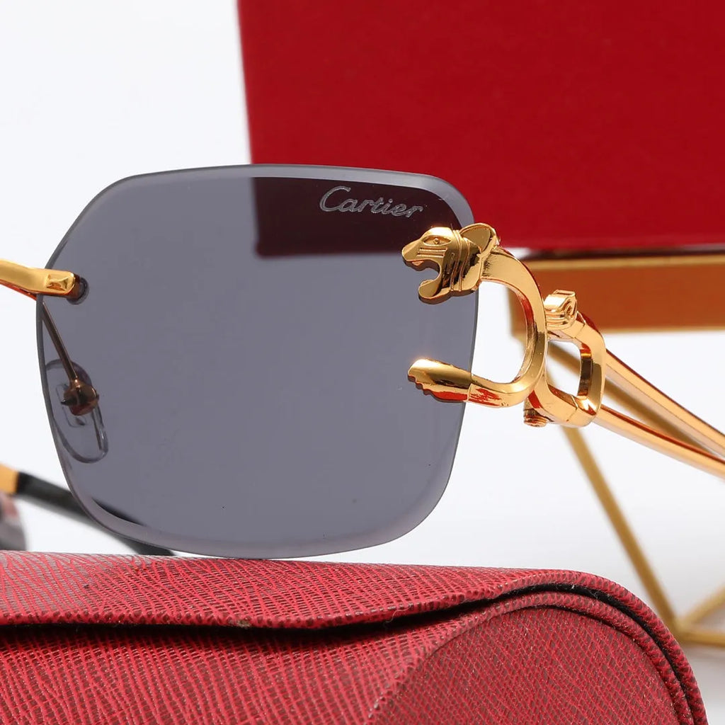 Leopard Frame Polarized Sunglasses H6228
