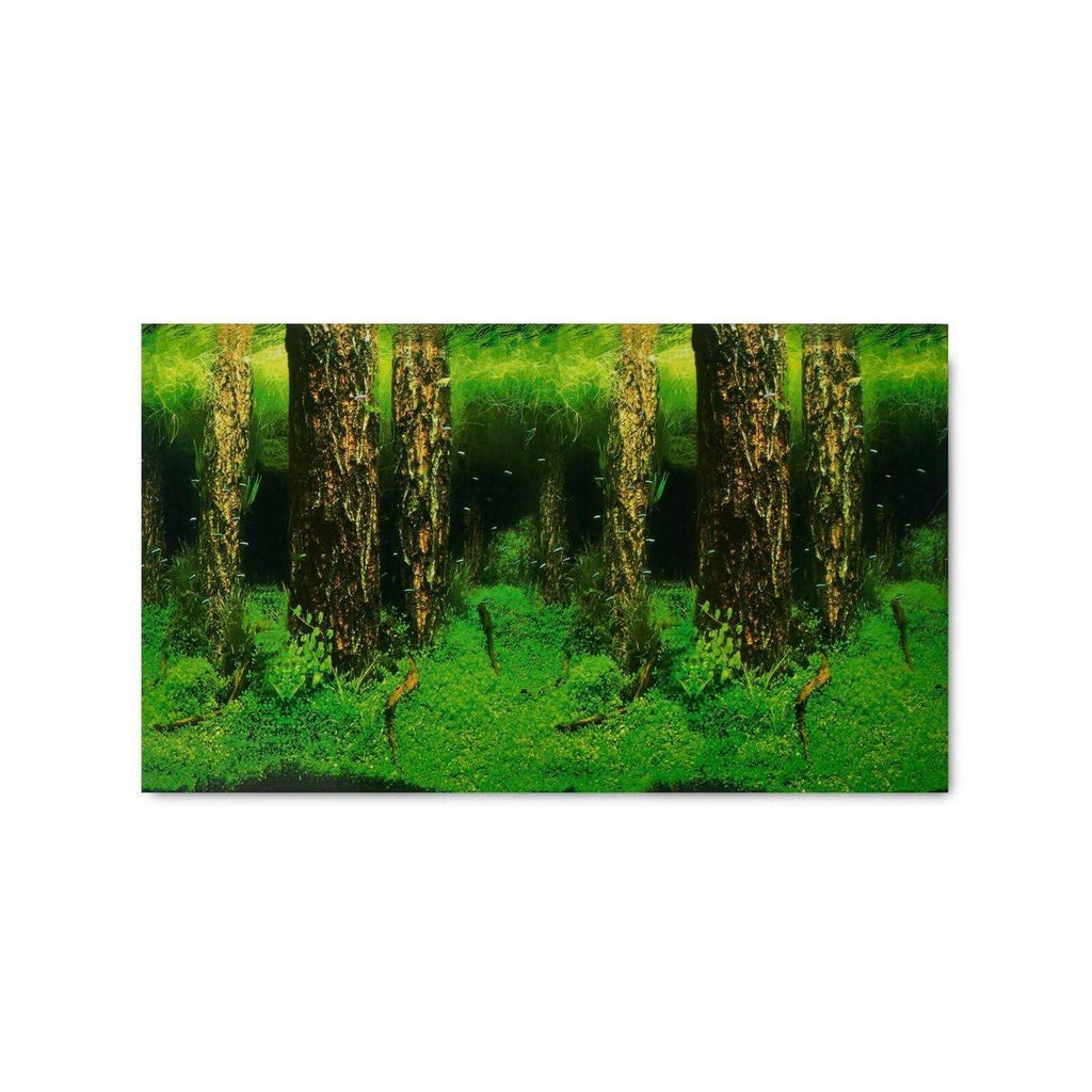 Aquarium Background K964635