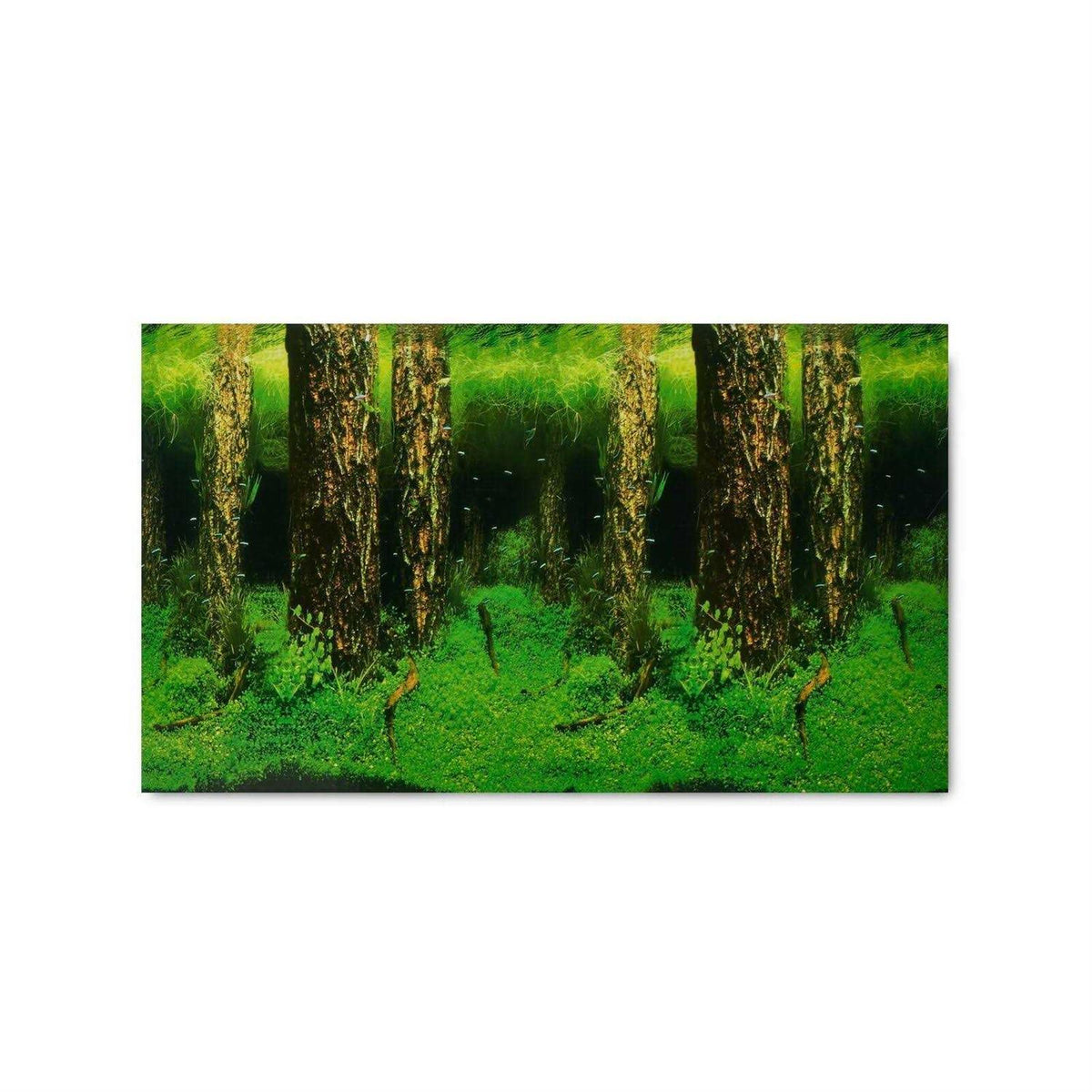Aquarium Background K964635
