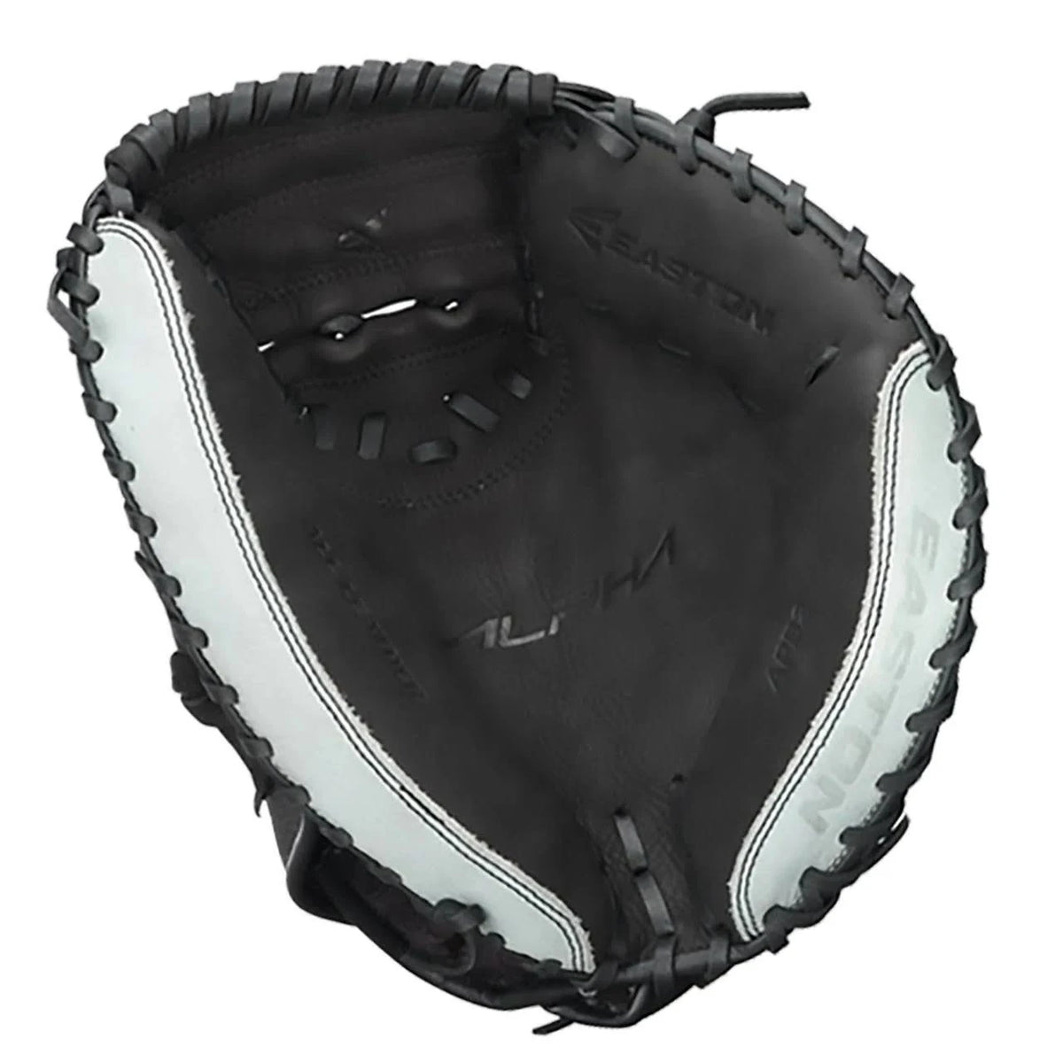 Catcher's Mitt J950848