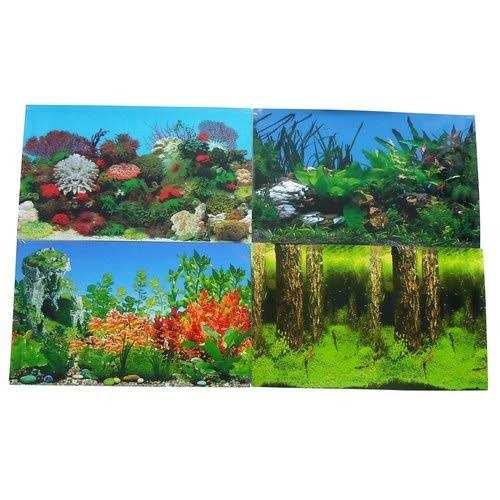 Aquarium Background K964635