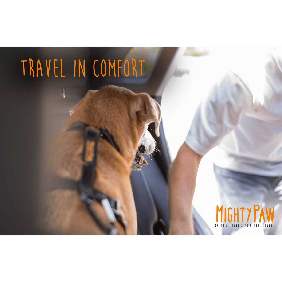Chew-Proof Dog Seat Belt A306