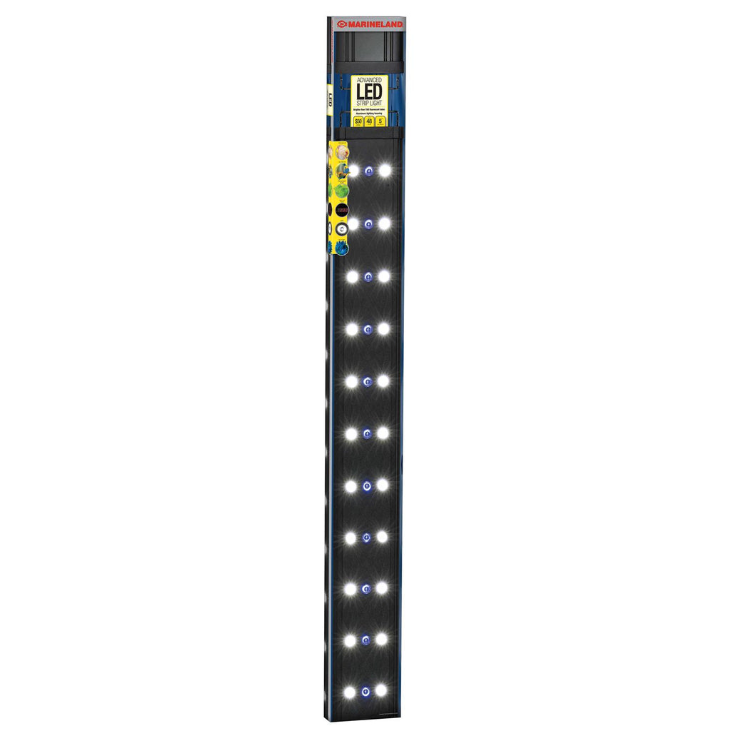 LED Strip Light Z83711