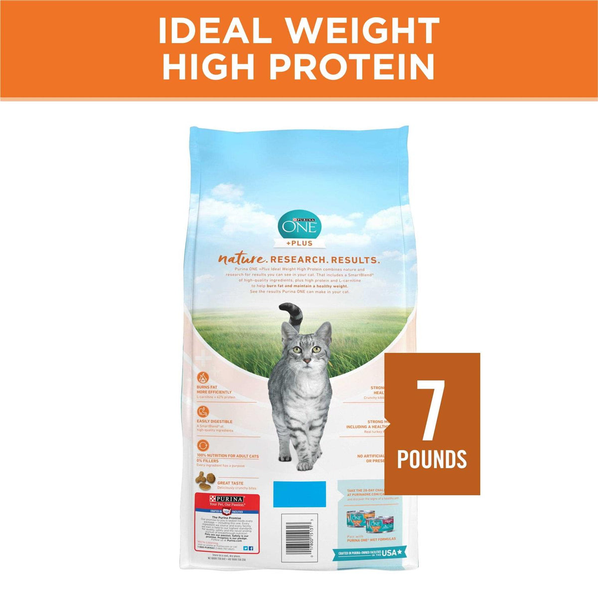 Dry Cat Food F157