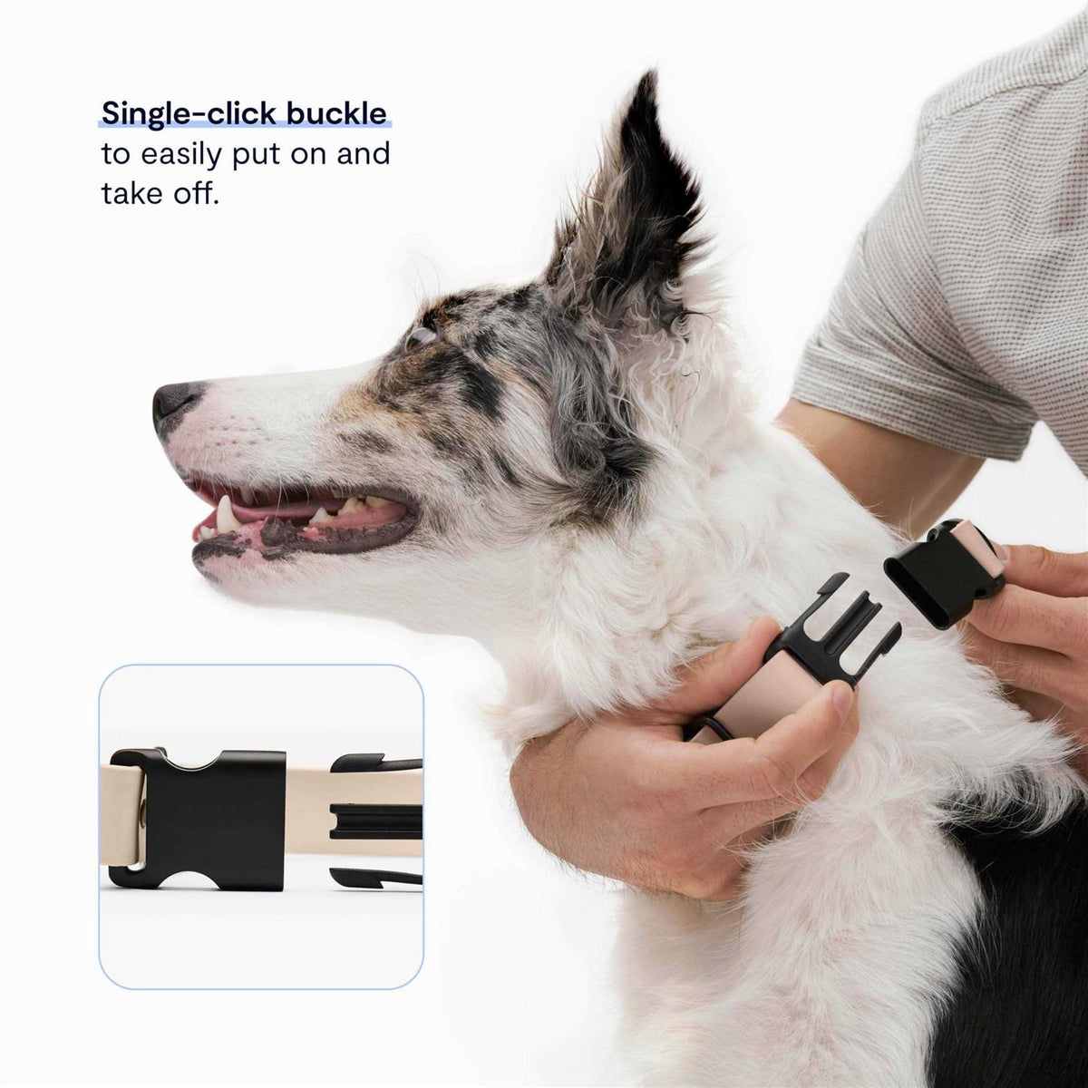 Dog Collar Y180