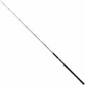 Jigging Rod D129