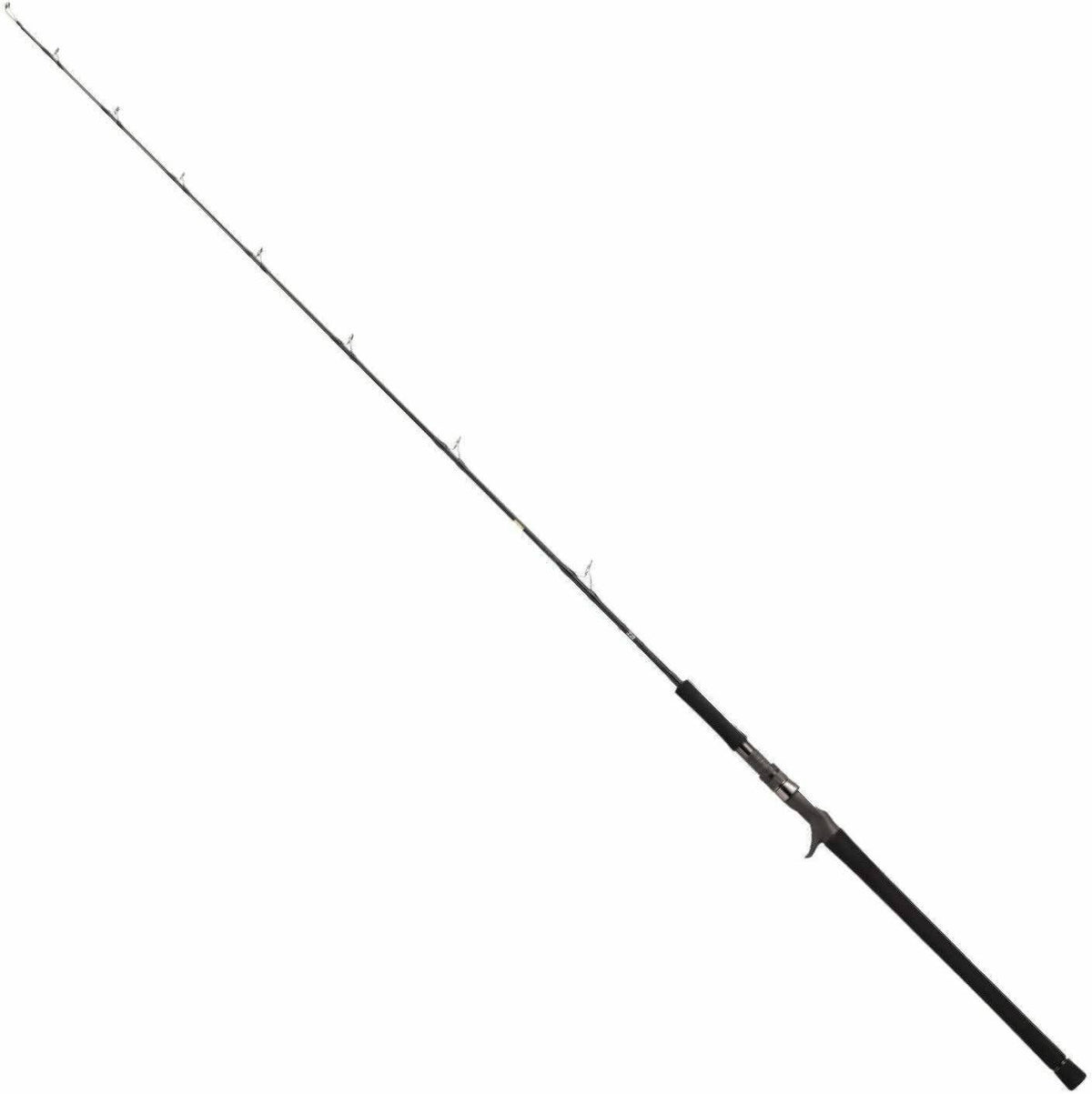 Jigging Rod D129