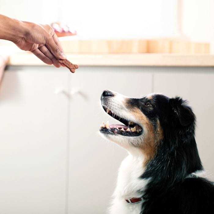 Soft & Chewy Chicken Dog Treats F188