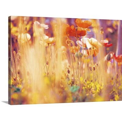 Photographic Print Canvas 26x22 H x 36x22 W x 1.5x22 D B1970