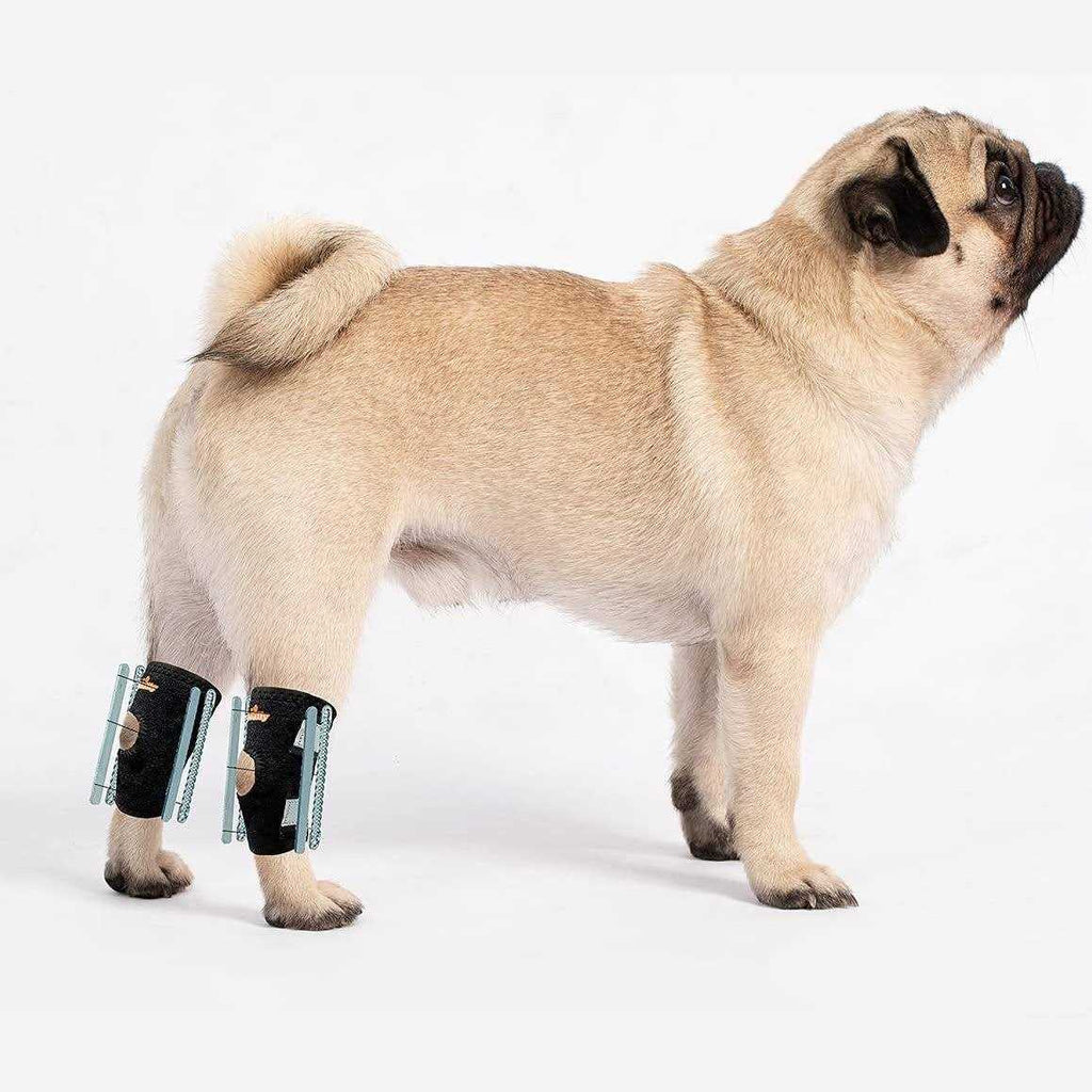 Small Dog Rear Leg Support Splint Braces N183