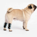 Small Dog Rear Leg Support Splint Braces N183