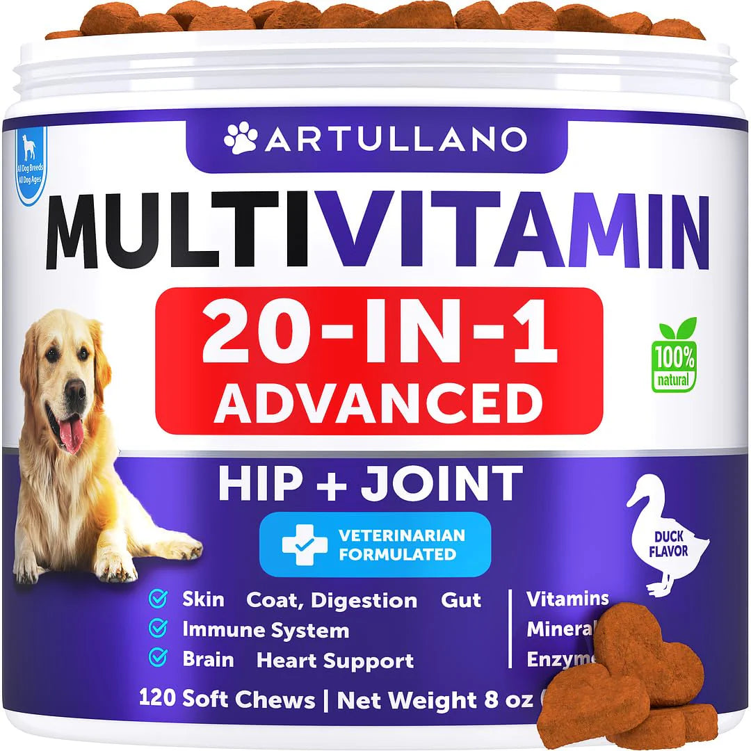 Chewable Dog Multivitamin with Glucosamine 120 Chews E966918
