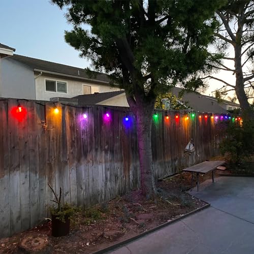 24" 12pc. Smart Wifi String Lights with Clear Bulb Y904358