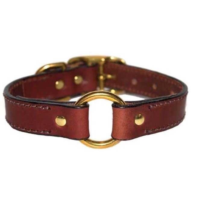 Leather Dog Collar with Nameplate I691