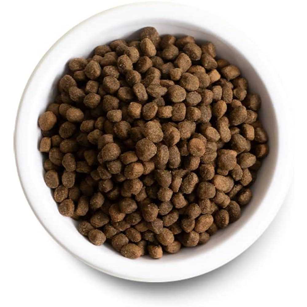Ancient Grains Puppy Dry Dog Food E9747