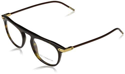 Havana Sunglasses S268