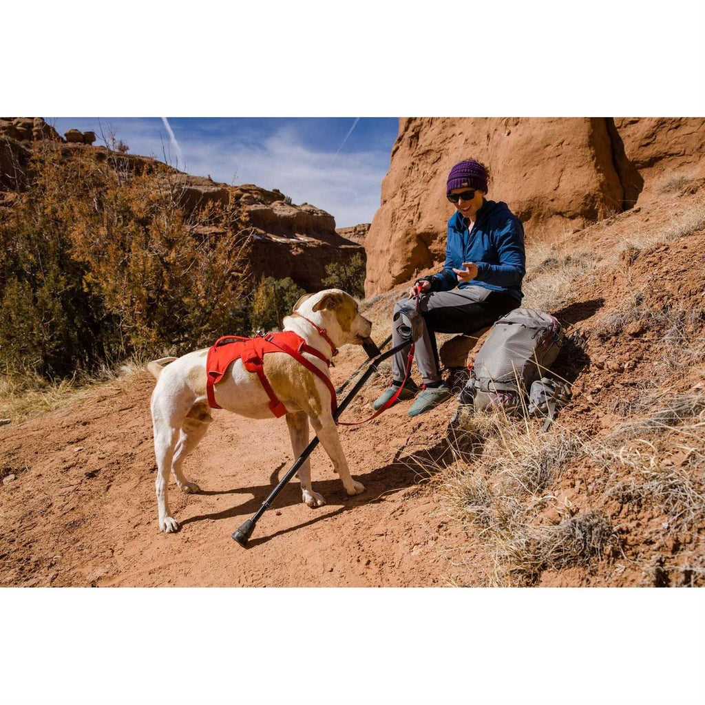 Dog Harness I84300