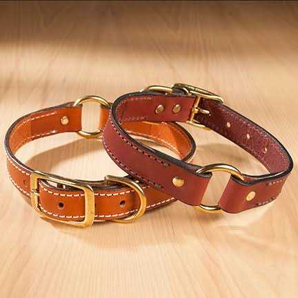 Leather Dog Collar with Nameplate I691