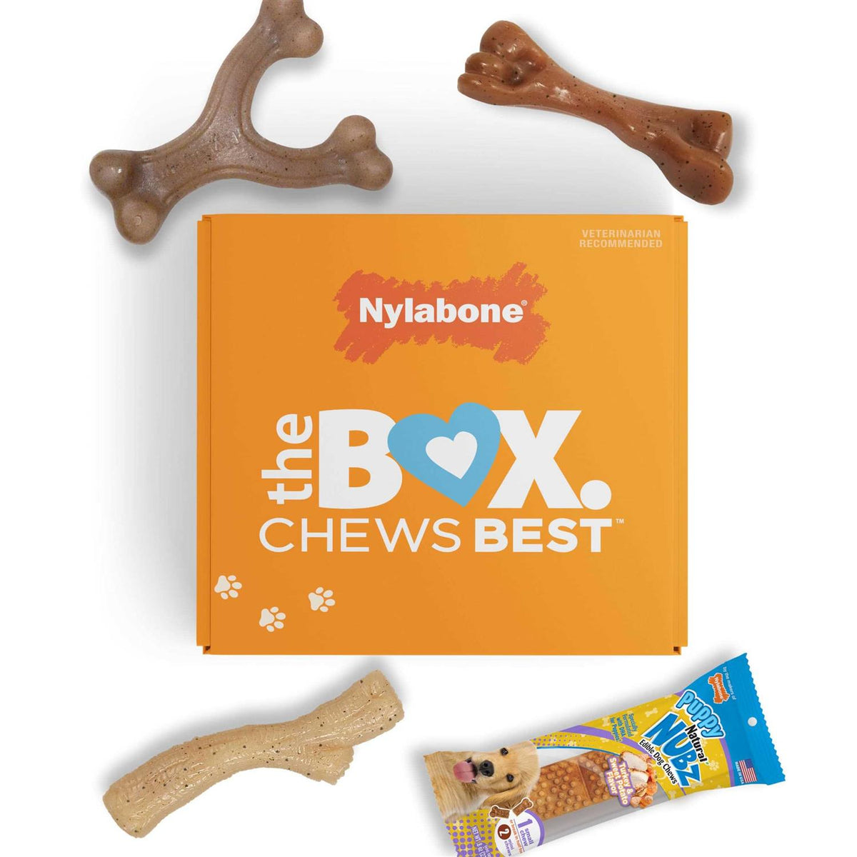 Chew Toy & Treat Gift Box C385