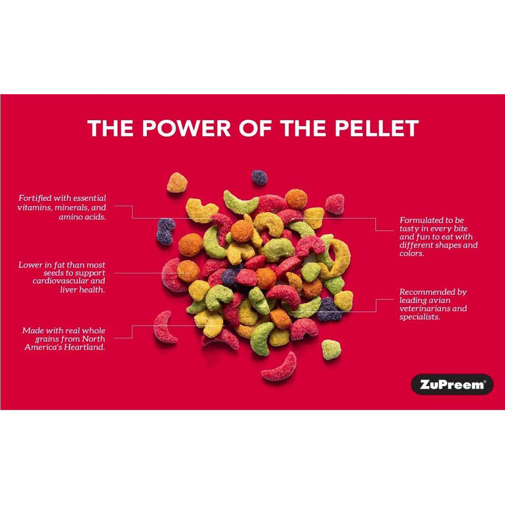 FruitBlend Flavor Large Bird Food E703