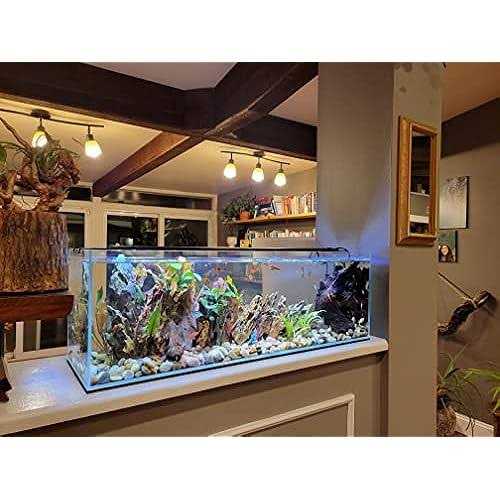 Aquarium W2308