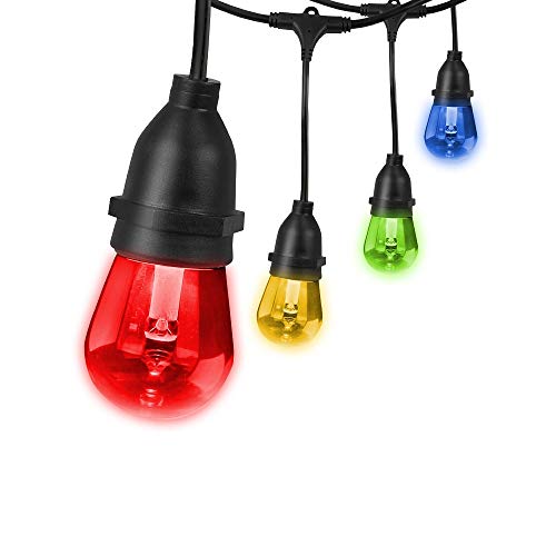 24" 12pc. Smart Wifi String Lights with Clear Bulb Y904358
