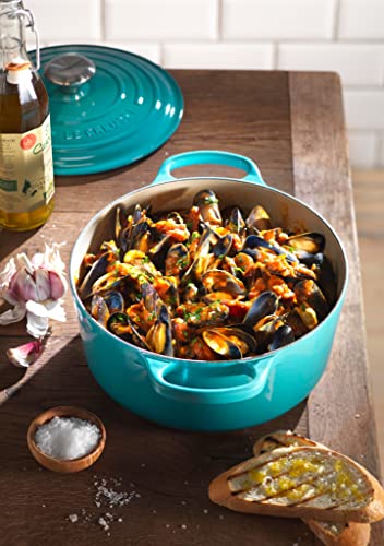 Enameled Cast Iron Oval Dutch Oven, 9.5 qt. H640