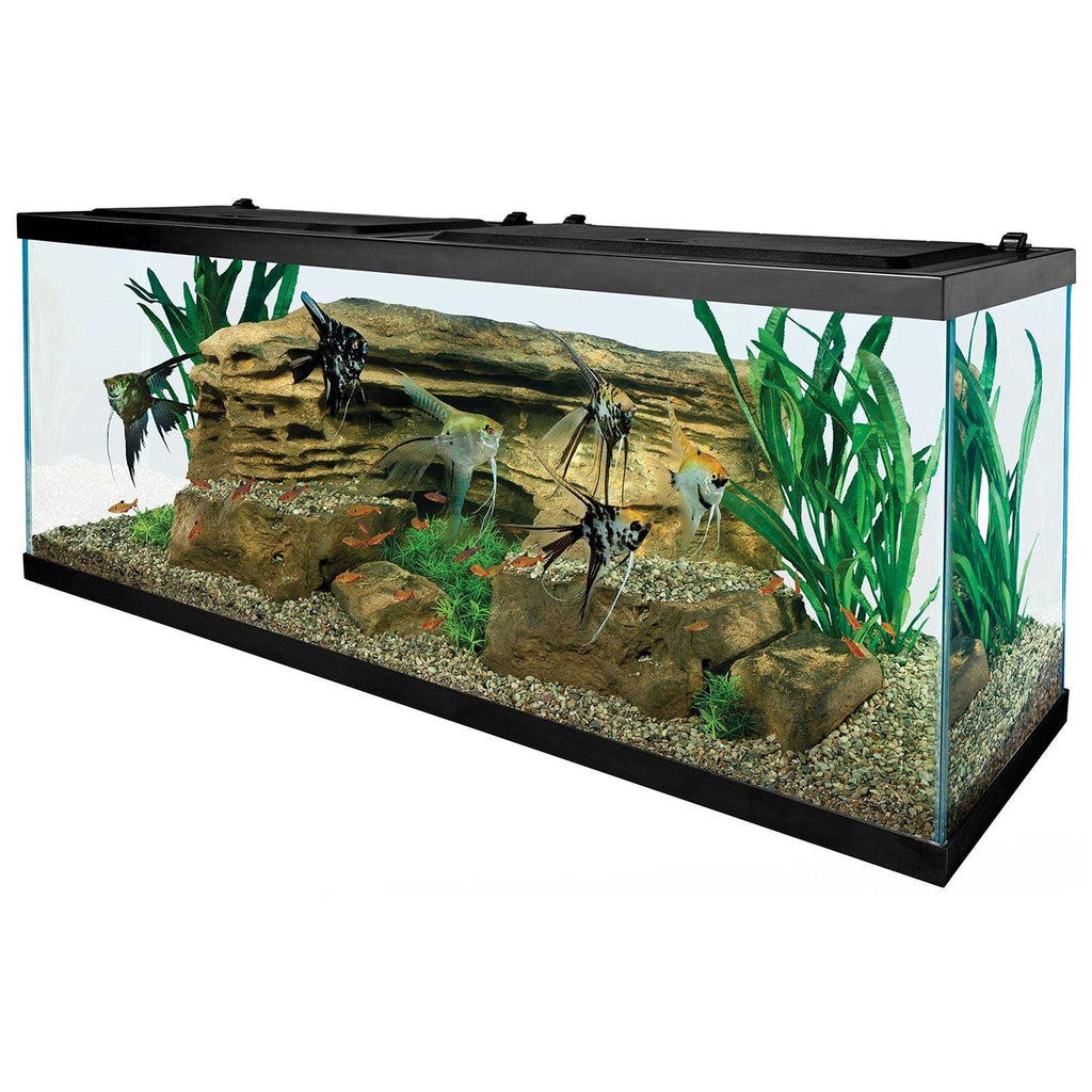 55-Gallon Starter Aquarium with Net K7525