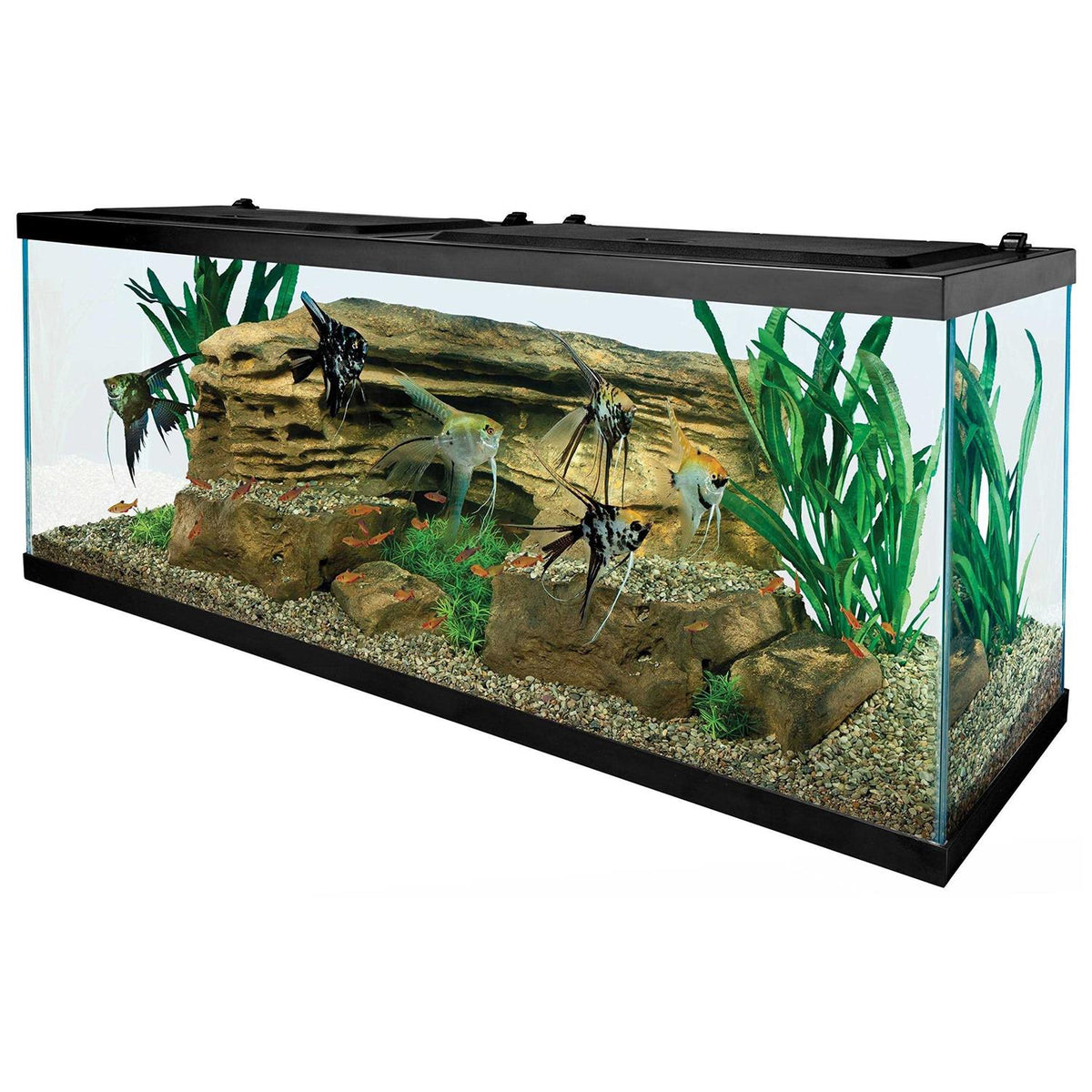 55-Gallon Starter Aquarium with Net K7525