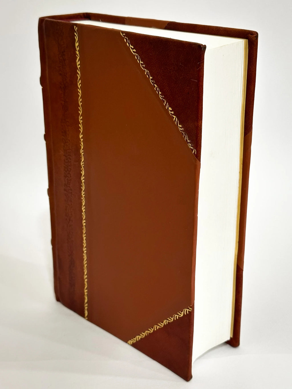 Leather Bound Physiology Book H643