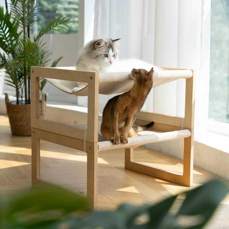 Large Breathable Wooden Cat Bed X450763
