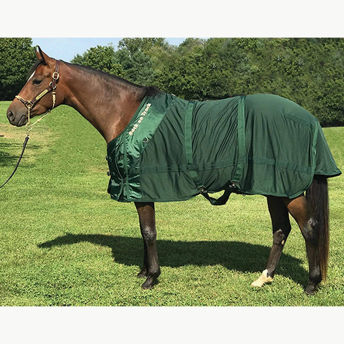 Therapeutic Mesh Horse Sheet O287