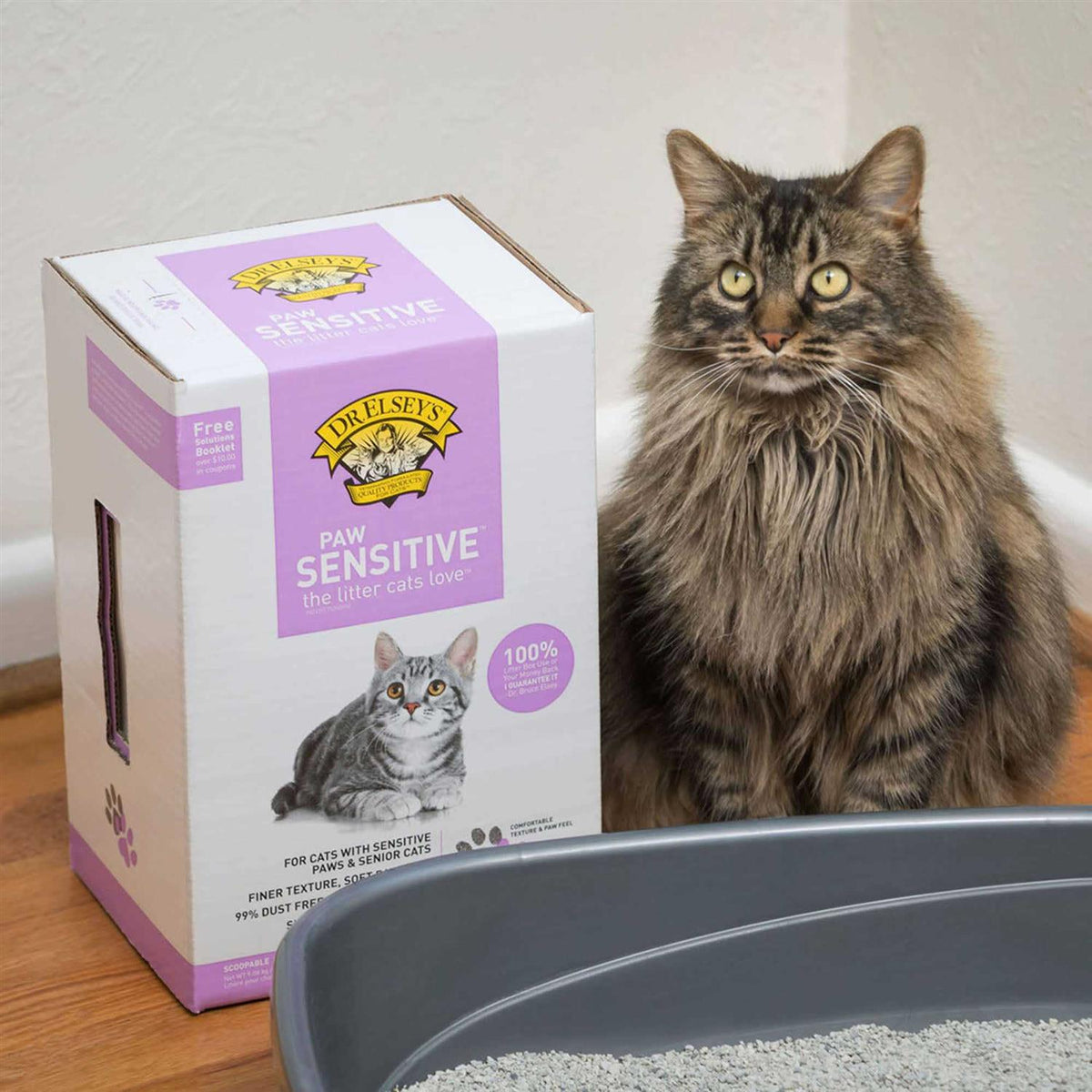 Paw Sensitive Clumping Multi-Cat Clay Litter T13651