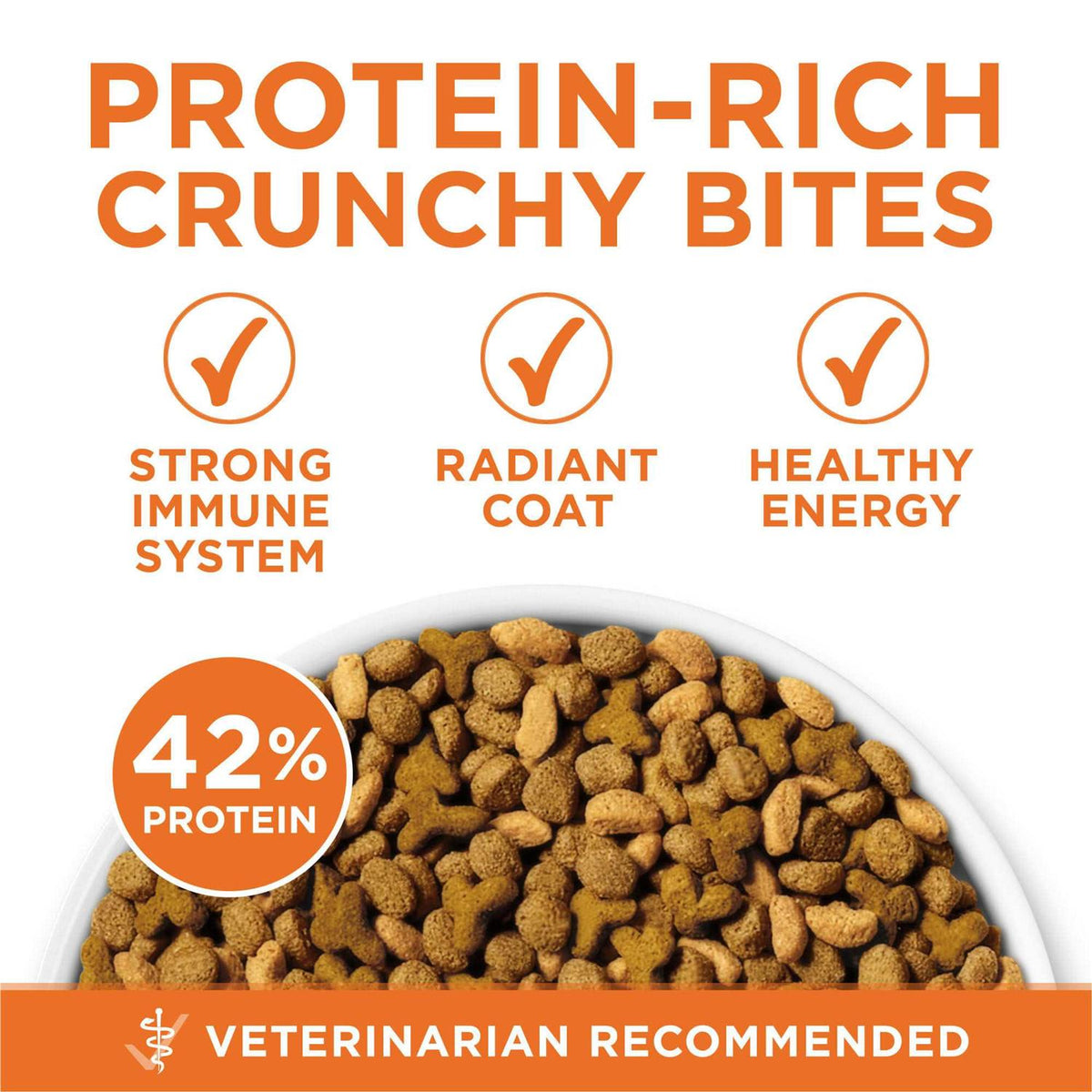 Dry Cat Food F157