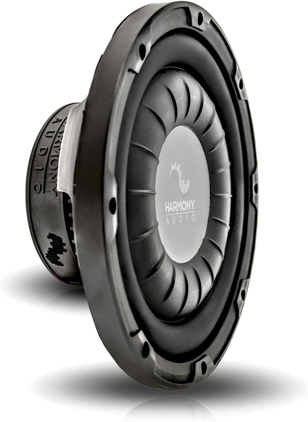 Dual 10 Sub Box & Amp P311294