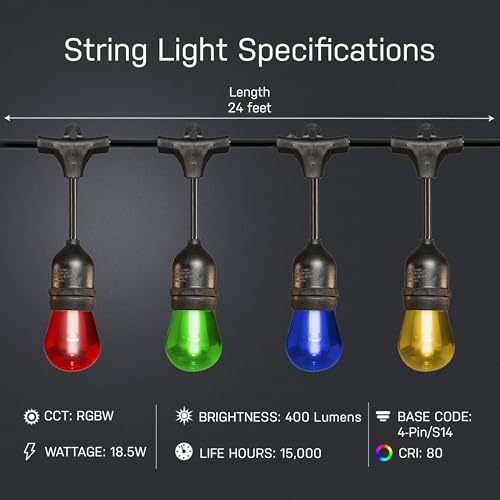 24" 12pc. Smart Wifi String Lights with Clear Bulb Y904358