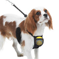 Nylon Mesh Non-Pulling Dog Harness Z1859
