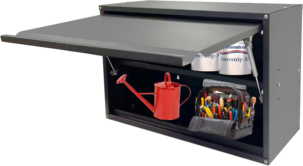 Black Wall Mount Metal Storage Cabinet with Adjustable Shelf W664371