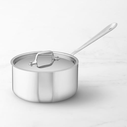 3-Quart Stainless Steel Saucepan Q673