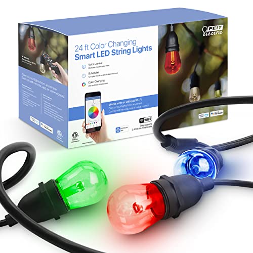 24" 12pc. Smart Wifi String Lights with Clear Bulb Y904358