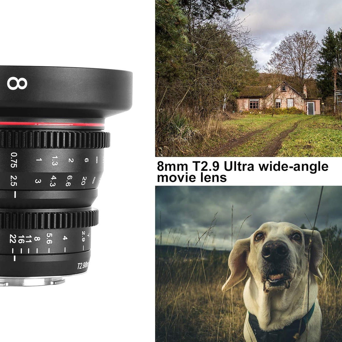 8mm T2.9 Wide-Angle Cinema Lens R80619