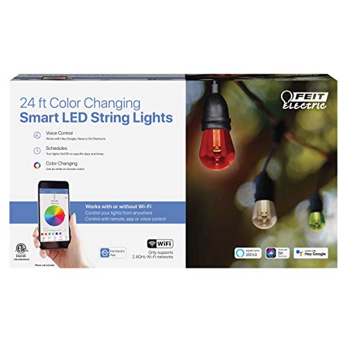 24" 12pc. Smart Wifi String Lights with Clear Bulb Y904358