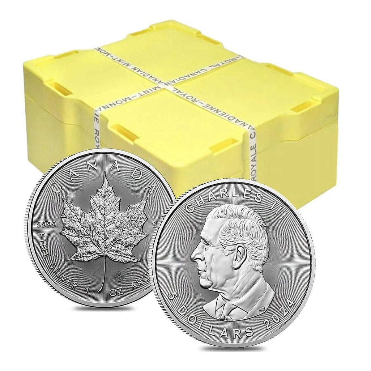 1 oz Canadian Silver Maple Leaf Coin R28907