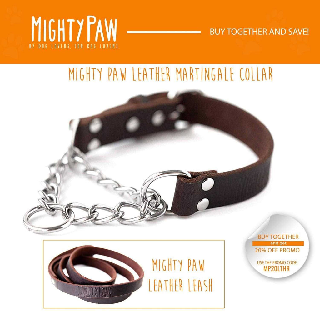 Leather Martingale Collar N894