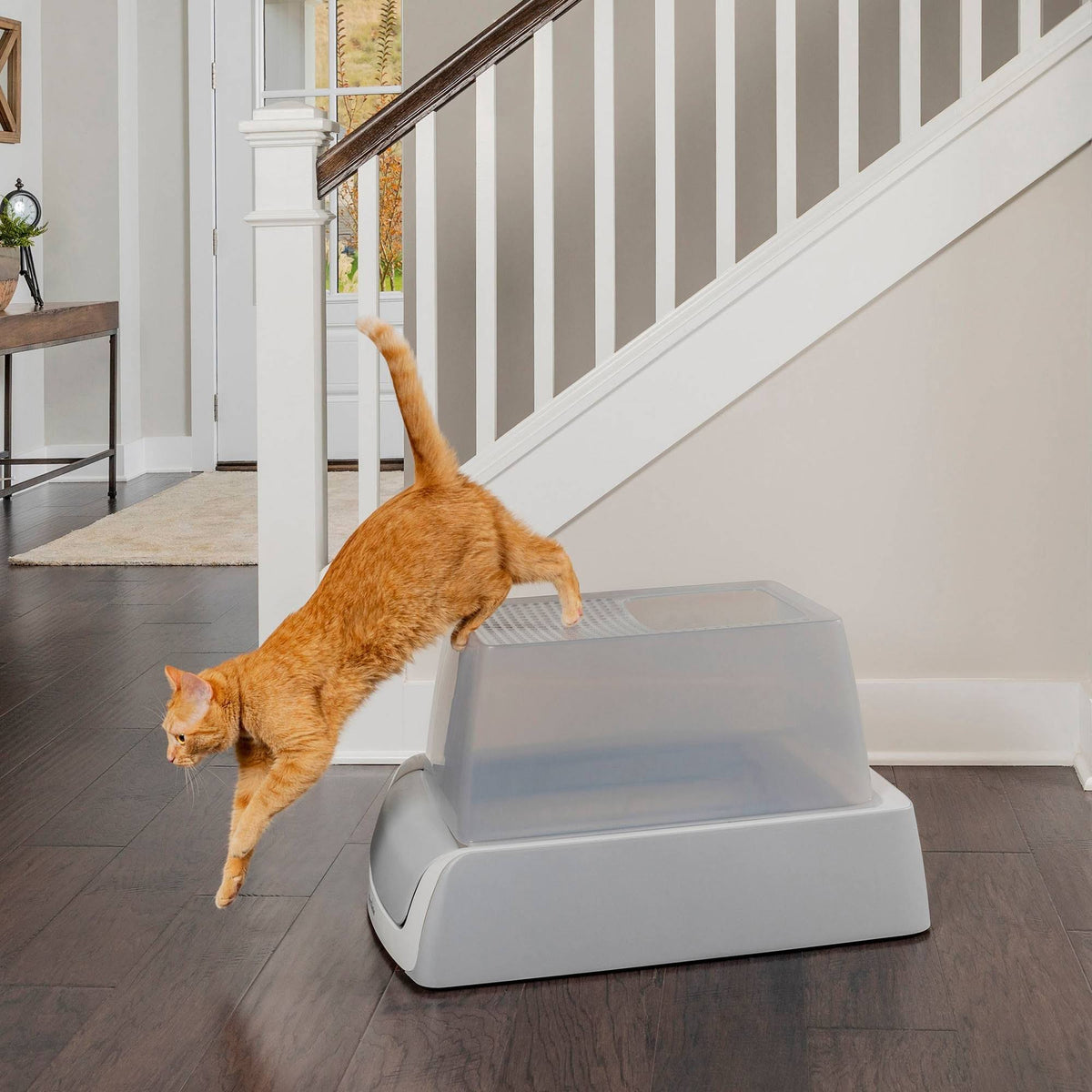 Self-Cleaning Litter Box U3416