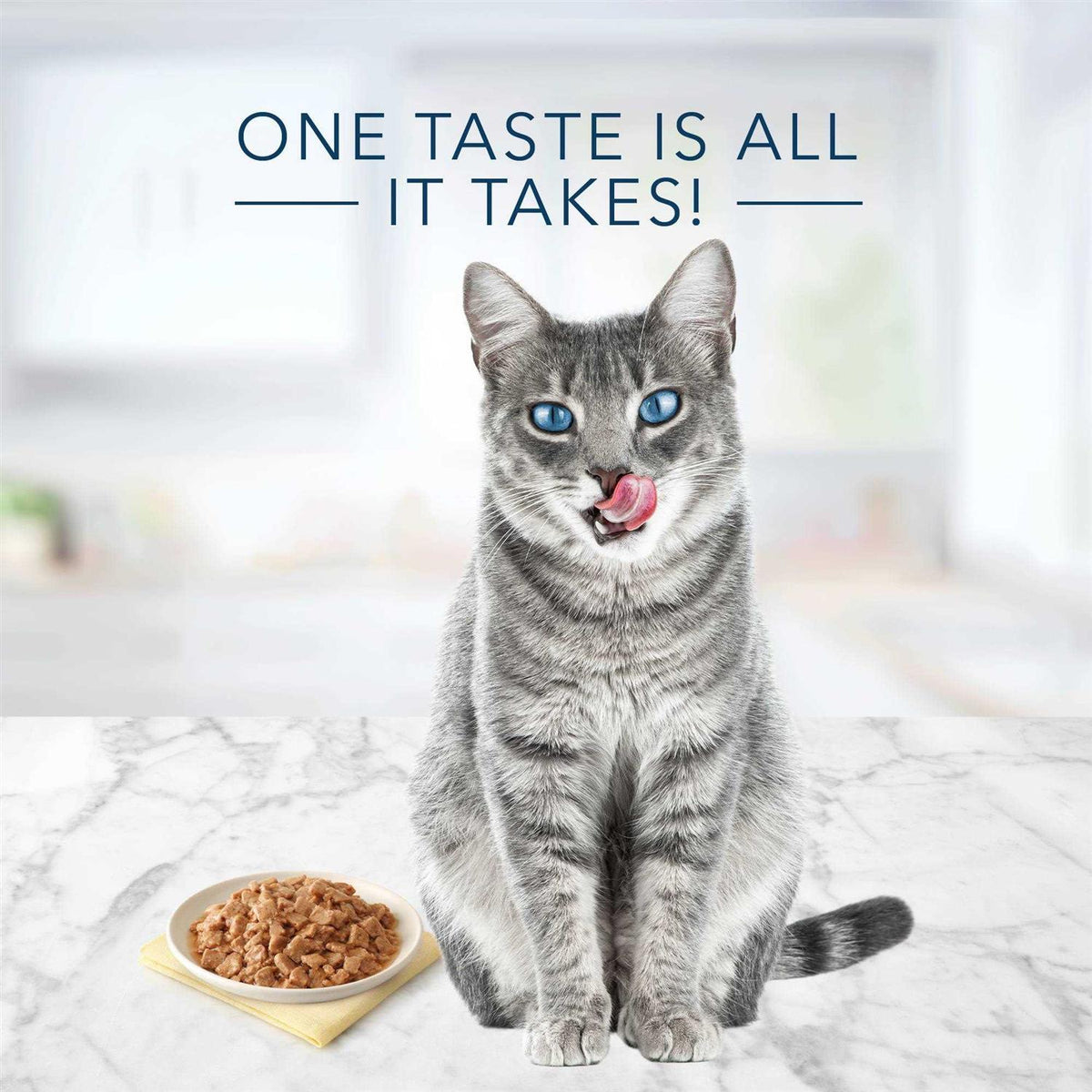Tuna Chicken Fish Shrimp Flaked Variety Pack Wet Cat Food E167448